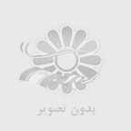 نهال توت